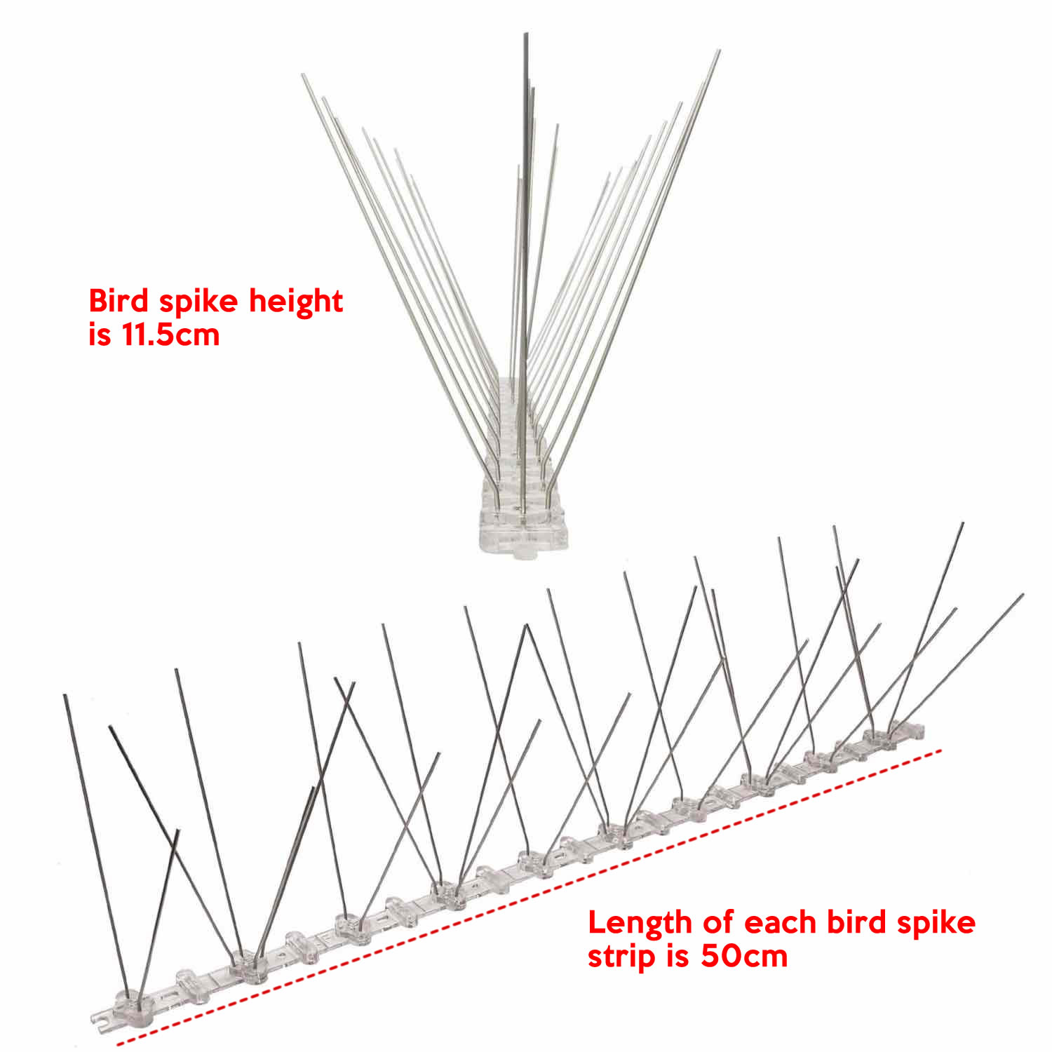  anti bird spikes for fences  Springvale