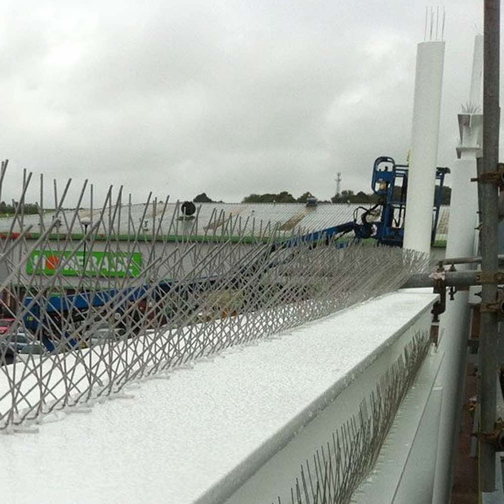  anti bird spikes for fences  Springvale