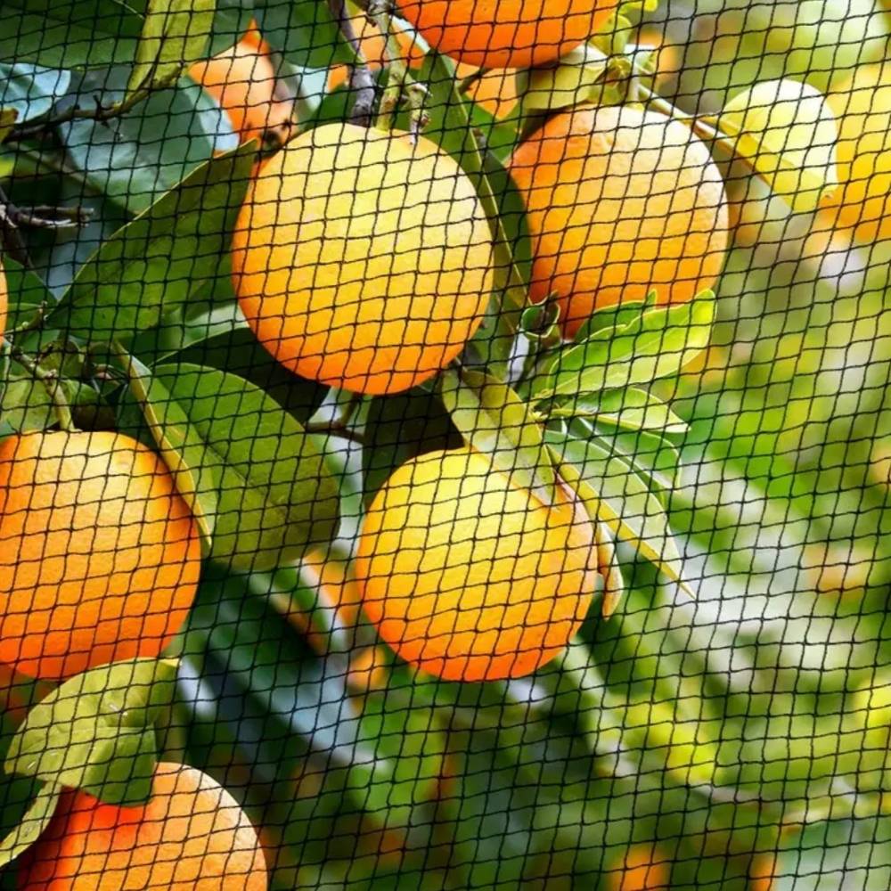 Bird Netting Mesh | Tree Garden Net | Reusable Protective Garden Netting