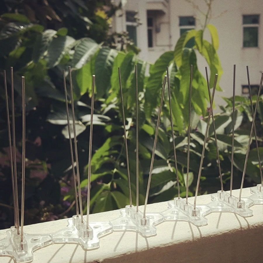 Anti-Pigeon Spikes | Pigeon Deterrent Spike Strips | Pigeon Repellent Spikes (per 50cm strip): image 5