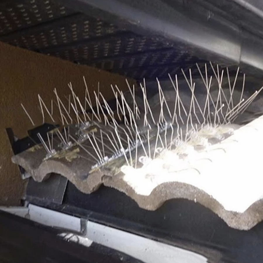 Anti-Seagull Spikes | Seagull Deterrent Spike Strips | Seagull Repellent Spikes (per 50cm strip): image 3