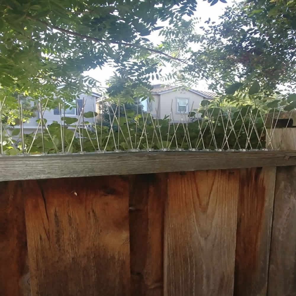 Anti-Seagull Spikes | Seagull Deterrent Spike Strips | Seagull Repellent Spikes (per 50cm strip): image 6