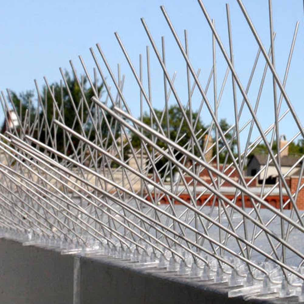 Anti-Wren Spikes | Wren Deterrent Spike Strips | Wren Repellent Spikes (per 50cm strip): image 4